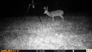 (private lake, pond, creek) Acreage For Sale in Columbia Kentucky