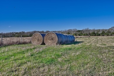 Located in Colorado County, centrally positioned between Houston - photo 14