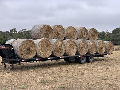Located in Colorado County, centrally positioned between Houston - photo 15
