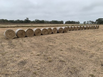 Located in Colorado County, centrally positioned between Houston - photo 16