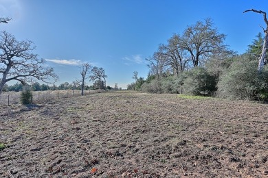 Located in Colorado County, centrally positioned between Houston - photo 18
