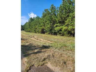 Strom Thurmond / Clarks Hill Lake Lot For Sale in Lincolnton Georgia