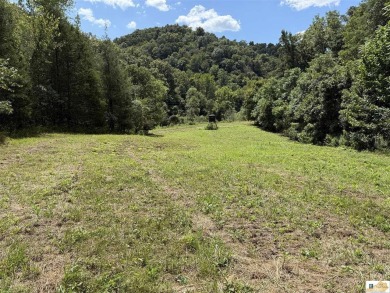 Lake Acreage For Sale in Burkesville, Kentucky