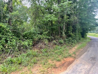This 13+ acre tract with utilities nearby in the Bogue Chitto - photo 3