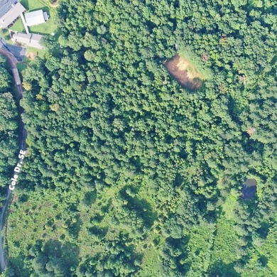 This 13+ acre tract with utilities nearby in the Bogue Chitto - photo 4