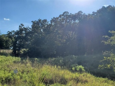 Lake Acreage For Sale in Bowie, Texas