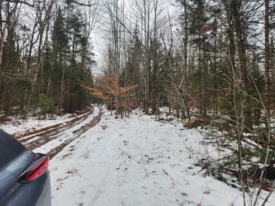 (private lake, pond, coastal) Acreage For Sale in Buckfield Maine