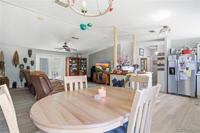 Welcome to the Heart of Old Homosassa - 11065 W Townsend Lane - photo 11
