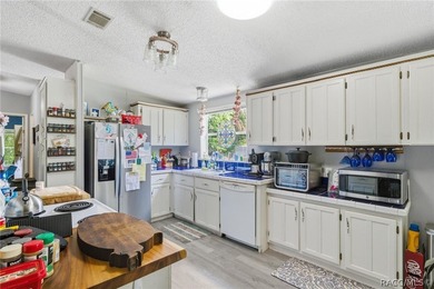 Welcome to the Heart of Old Homosassa - 11065 W Townsend Lane - photo 13