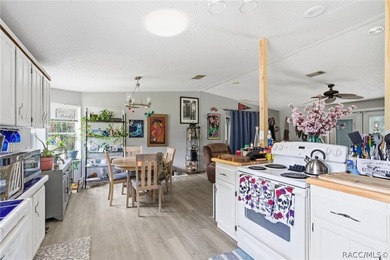Welcome to the Heart of Old Homosassa - 11065 W Townsend Lane - photo 15