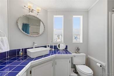 Welcome to the Heart of Old Homosassa - 11065 W Townsend Lane - photo 19