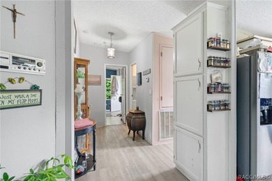 Welcome to the Heart of Old Homosassa - 11065 W Townsend Lane - photo 21