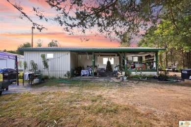 Lake Home For Sale in Scottsville, Kentucky