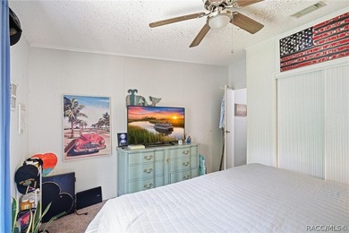 Welcome to the Heart of Old Homosassa - 11065 W Townsend Lane - photo 24