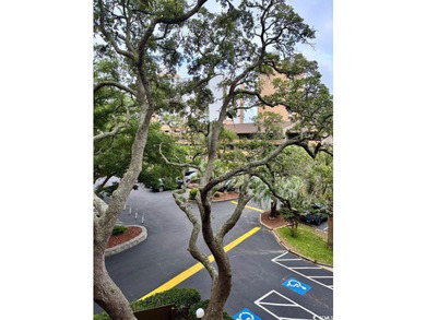 This wonderful 2BR/2BA fully furnished condominium is located - photo 27