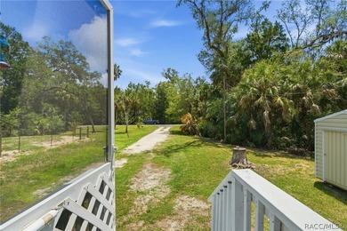 Welcome to the Heart of Old Homosassa - 11065 W Townsend Lane - photo 30