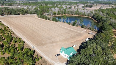 (private lake, pond, coastal) Acreage For Sale in Ellabell Georgia