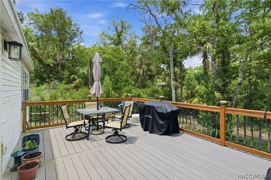 Welcome to the Heart of Old Homosassa - 11065 W Townsend Lane - photo 37