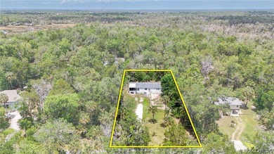 Welcome to the Heart of Old Homosassa - 11065 W Townsend Lane - photo 42