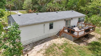 Welcome to the Heart of Old Homosassa - 11065 W Townsend Lane - photo 44