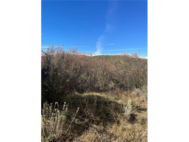 Lake Lot For Sale in Cedar Glen, California