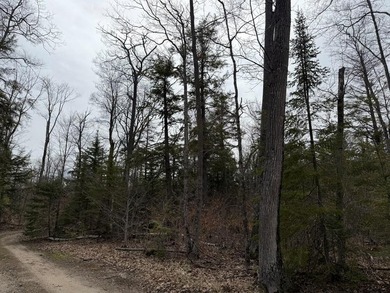 Tucked near the end of a quiet cul-de-sac, this 3/4 acre wooded - photo 1