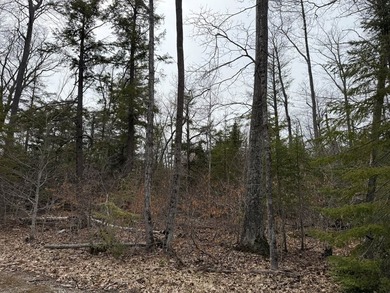 Tucked near the end of a quiet cul-de-sac, this 3/4 acre wooded - photo 2