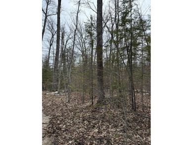 Tucked near the end of a quiet cul-de-sac, this 3/4 acre wooded - photo 3