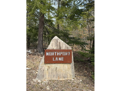 Tucked near the end of a quiet cul-de-sac, this 3/4 acre wooded - photo 4