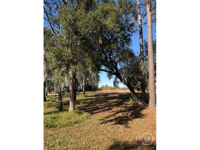 Rare opportunity to own a premier deep-water vacant lot in the - photo 4