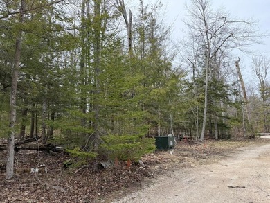 Tucked near the end of a quiet cul-de-sac, this 3/4 acre wooded - photo 5
