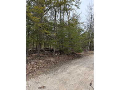 Tucked near the end of a quiet cul-de-sac, this 3/4 acre wooded - photo 6