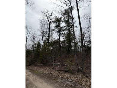 Tucked near the end of a quiet cul-de-sac, this 3/4 acre wooded - photo 8