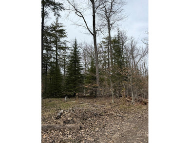 Tucked near the end of a quiet cul-de-sac, this 3/4 acre wooded - photo 9