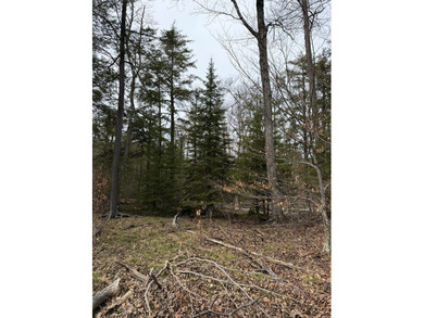 Tucked near the end of a quiet cul-de-sac, this 3/4 acre wooded - photo 10