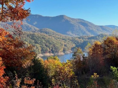 Lake Santeetlah Lot For Sale in Robbinsville North Carolina