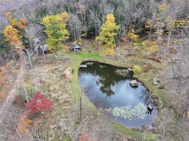 (private lake, pond, coastal) Acreage Sale Pending in Bolivar New York