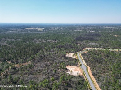 8.6 acres on a new gravel road. Has water frontage on - photo 4