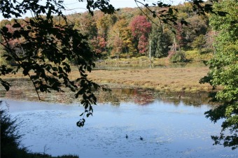 Tennanah Lake Lot For Sale in Roscoe New York