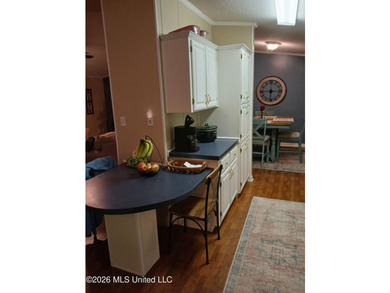 Charming 3BR/2BA Home with Upgrades & Outdoor Extras - photo 10