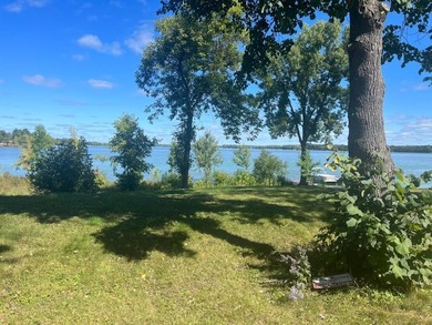 This property lies amongst mature trees with beautiful views of - photo 17