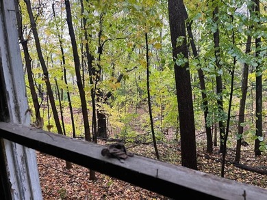 This property lies amongst mature trees with beautiful views of - photo 27