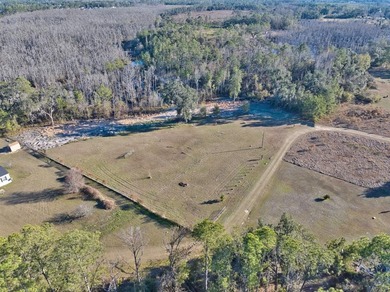 (private lake, pond, coastal) Lot Sale Pending in Valdosta Georgia