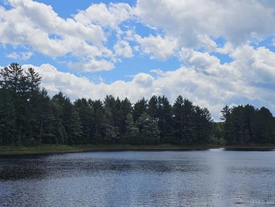 Gilbert Lake - Iron County Acreage For Sale in Crystal Falls Michigan