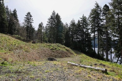 Two tax lots offering excellent potential with substantial - photo 11