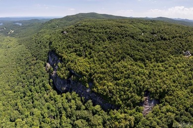 Captivating long-range views of the Blue Ridge Mountains await! - photo 12