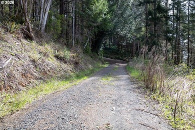 Two tax lots offering excellent potential with substantial - photo 12