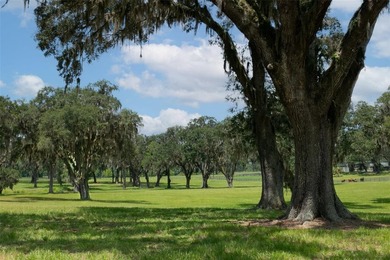 This 61 + acre farm features one of the most beautiful - photo 14
