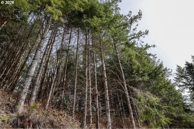 Two tax lots offering excellent potential with substantial - photo 14