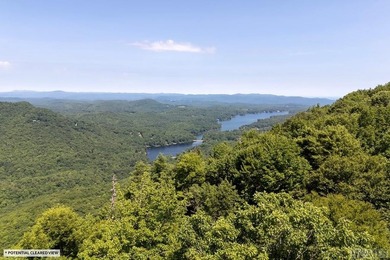 Captivating long-range views of the Blue Ridge Mountains await! - photo 15
